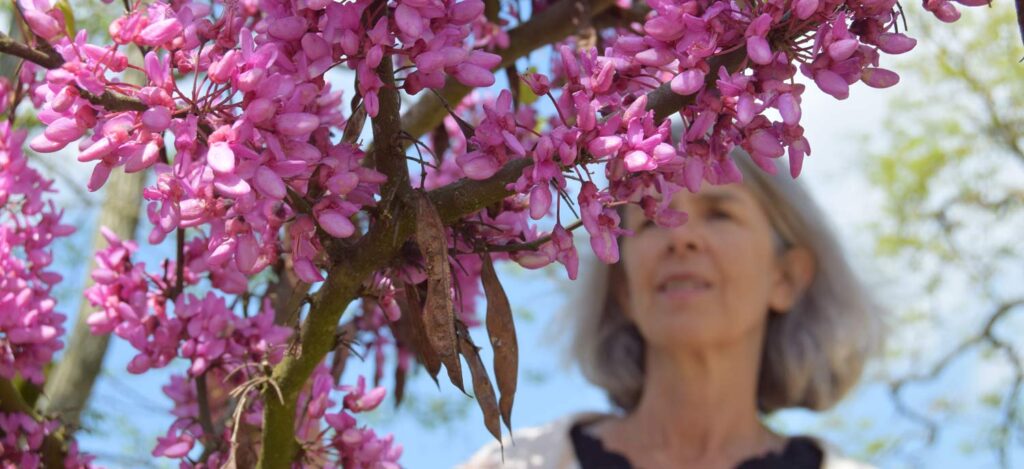 Truus bij de roze bloesem