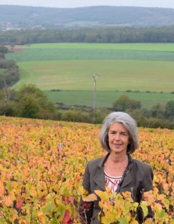 Truus in de wijngaard